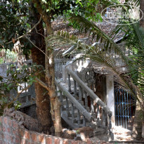 фото из отзыва ID 686868