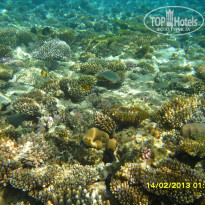 фото из отзыва ID 686934