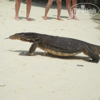 фото из отзыва ID 687130