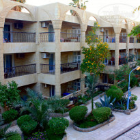 фото из отзыва ID 687173