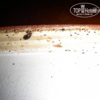 фото из отзыва ID 687315