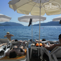 фото из отзыва ID 687384