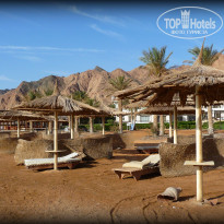 фото из отзыва ID 687527