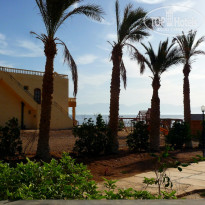 фото из отзыва ID 687527