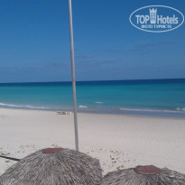 фото из отзыва ID 687541