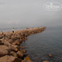 фото из отзыва ID 687614