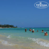 фото из отзыва ID 687661