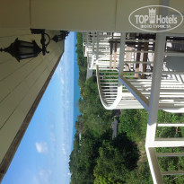 фото из отзыва ID 687785