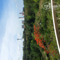 фото из отзыва ID 687785