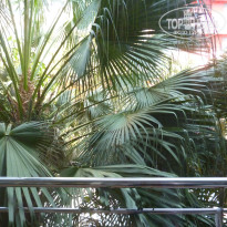 фото из отзыва ID 687873