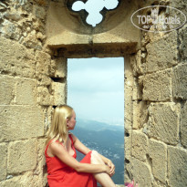 фото из отзыва ID 687968