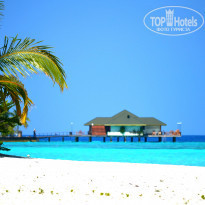 фото из отзыва ID 688083