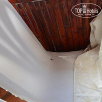 фото из отзыва ID 688063