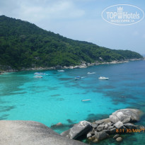 фото из отзыва ID 688082