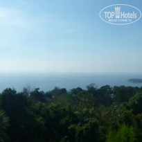 фото из отзыва ID 688082