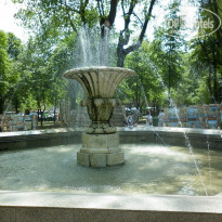 фото из отзыва ID 688220