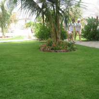 фото из отзыва ID 688780