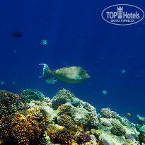 фото из отзыва ID 689294