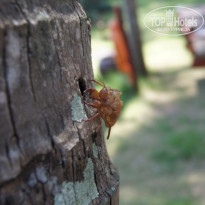 фото из отзыва ID 689953