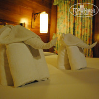 фото из отзыва ID 690231