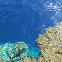 фото из отзыва ID 690908