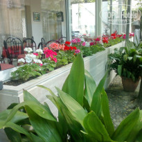 фото из отзыва ID 690786