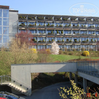 фото из отзыва ID 691363