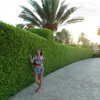 фото из отзыва ID 691477