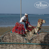 фото из отзыва ID 691074