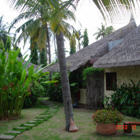 фото из отзыва ID 691639