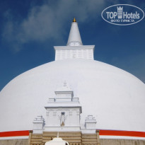 фото из отзыва ID 691657