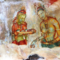 фото из отзыва ID 691657