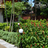 фото из отзыва ID 691443