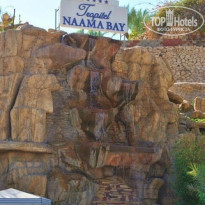 фото из отзыва ID 691914