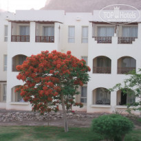 фото из отзыва ID 692327