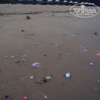 фото из отзыва ID 692409