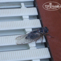 фото из отзыва ID 692502