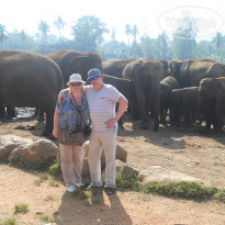 фото из отзыва ID 692780