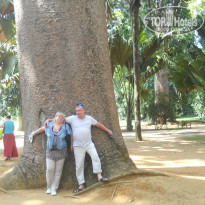 фото из отзыва ID 692780