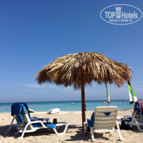 фото из отзыва ID 692921