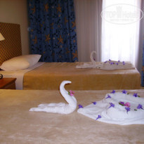 фото из отзыва ID 69239