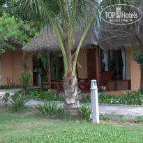 фото из отзыва ID 693991