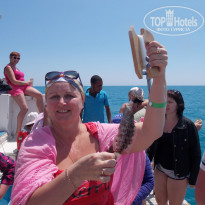 фото из отзыва ID 693301