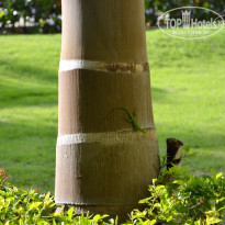 фото из отзыва ID 693023