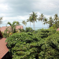 фото из отзыва ID 693514