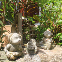 фото из отзыва ID 693514