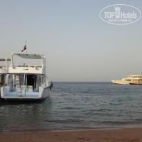 фото из отзыва ID 693625