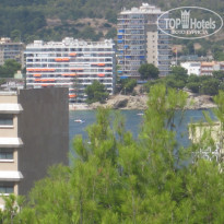 фото из отзыва ID 693704