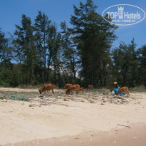 фото из отзыва ID 693816