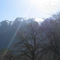 фото из отзыва ID 694048